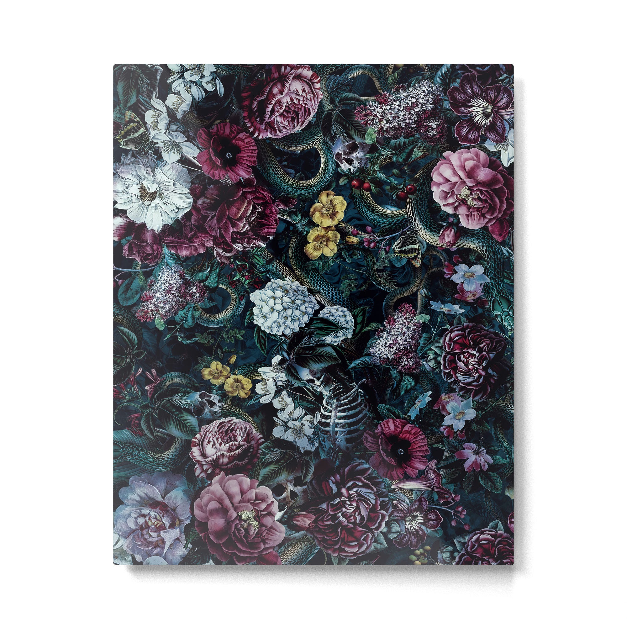 Skulls and Snake II Metal Print Gallery Image 4