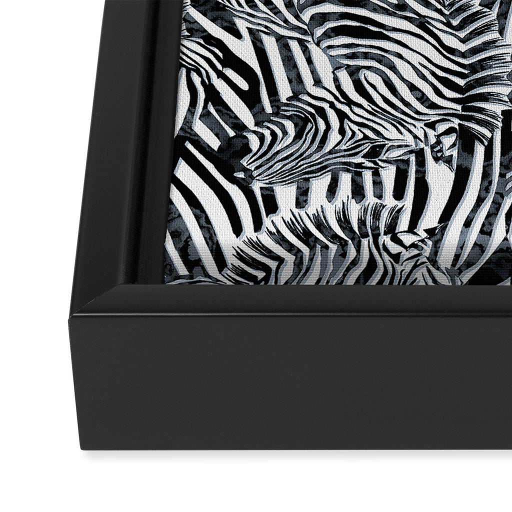 Zebra Framed Canvas Print Gallery Image 3