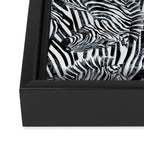 Zebra Framed Canvas Print Gallery Image 3