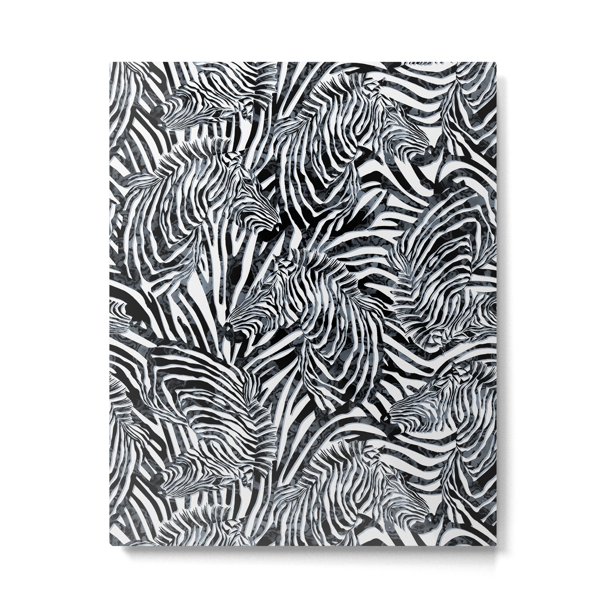 Zebra Metal Print Gallery Image 4