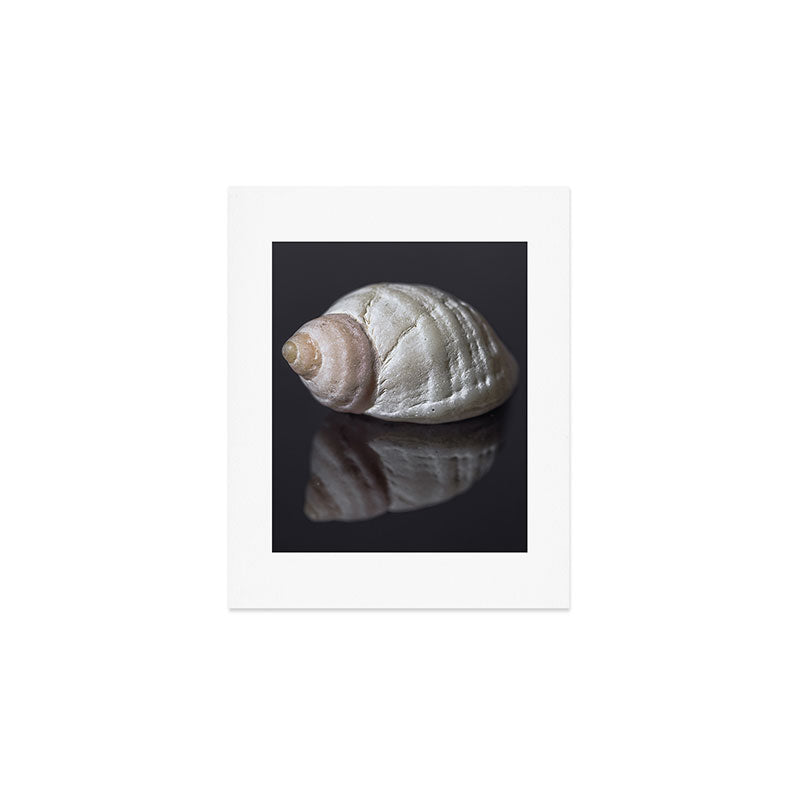 Seashell snail reflection Art Print Gallery Image 1