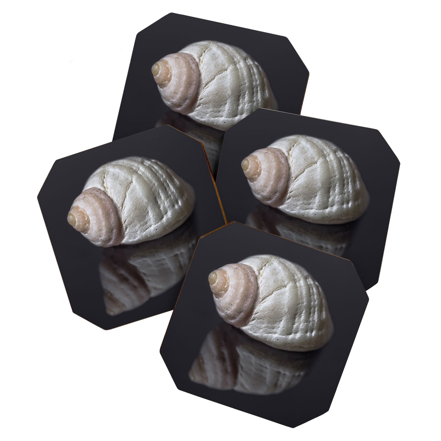 Seashell snail reflection Coaster Gallery Image 1