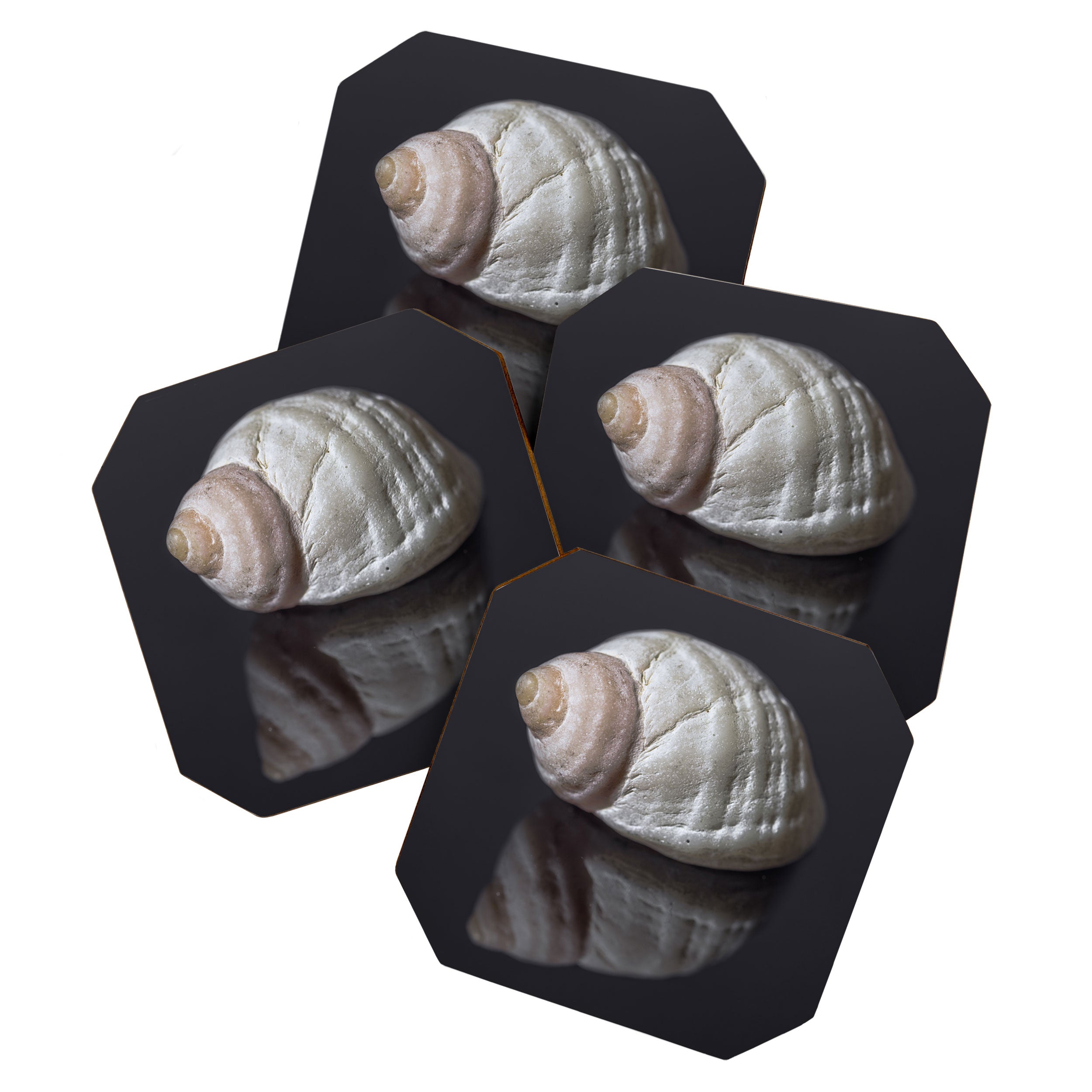 Seashell snail reflection Coaster Gallery Image 1