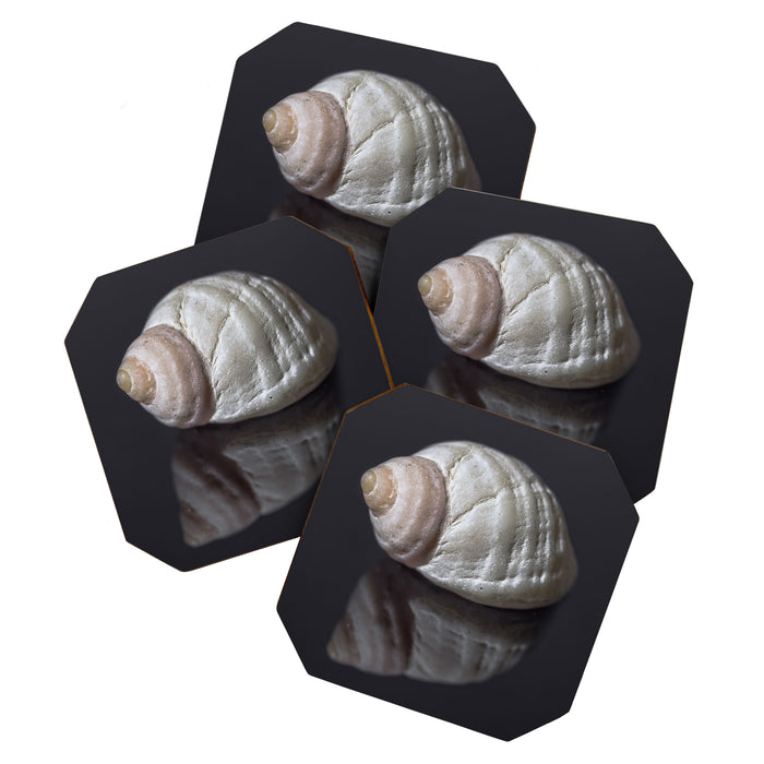 Seashell snail reflection Coaster Gallery Image 1