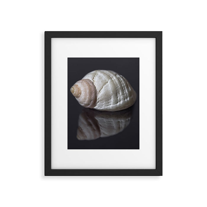 Seashell snail reflection Framed Art Print Gallery Image 1