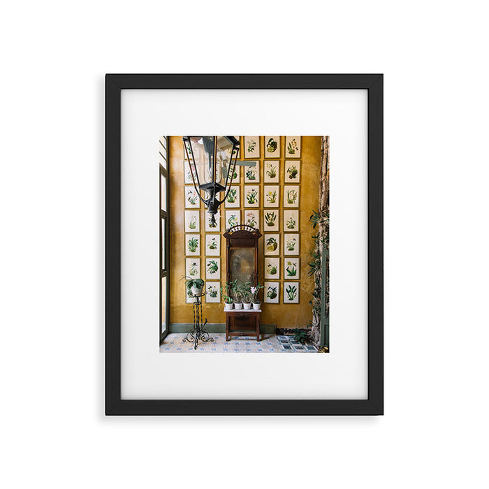 A Wall of Orchids, Merida, Mexico Framed Art Print Gallery Image 1