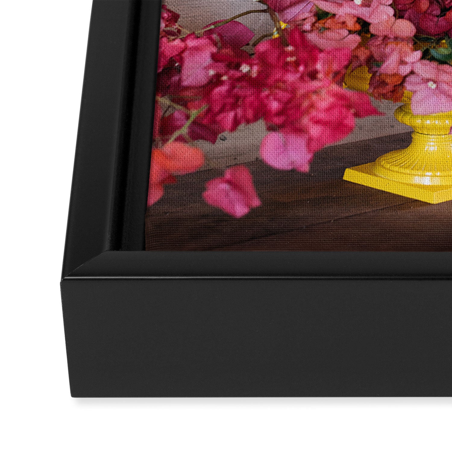 Blooming Mexico in a Vase Framed Canvas Print Gallery Image 3