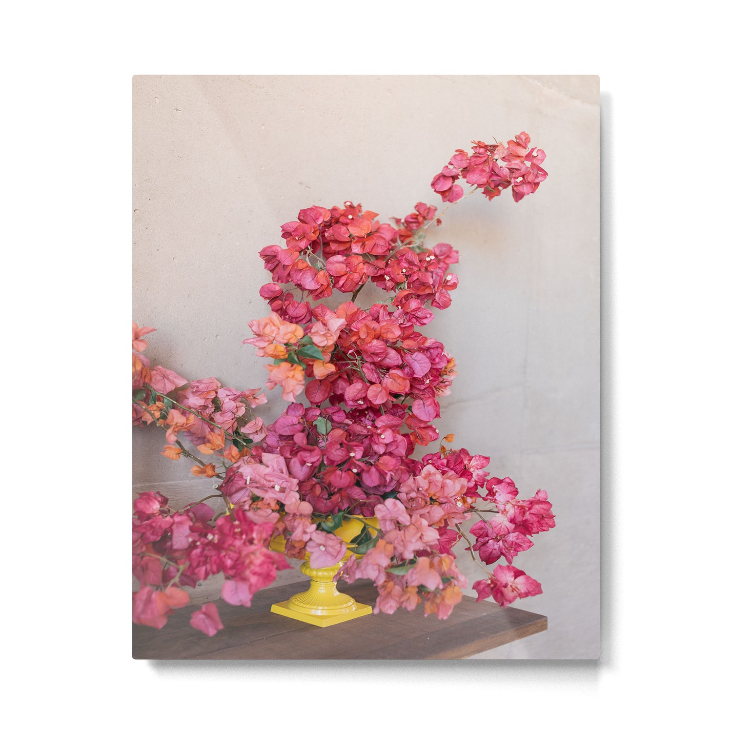 Blooming Mexico in a Vase Metal Print Gallery Image 4