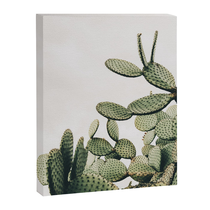Cactus on blue sky #society6 #decor #buyart Canvas Print Gallery Image 1