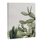 Cactus on blue sky #society6 #decor #buyart Canvas Print Gallery Image 6