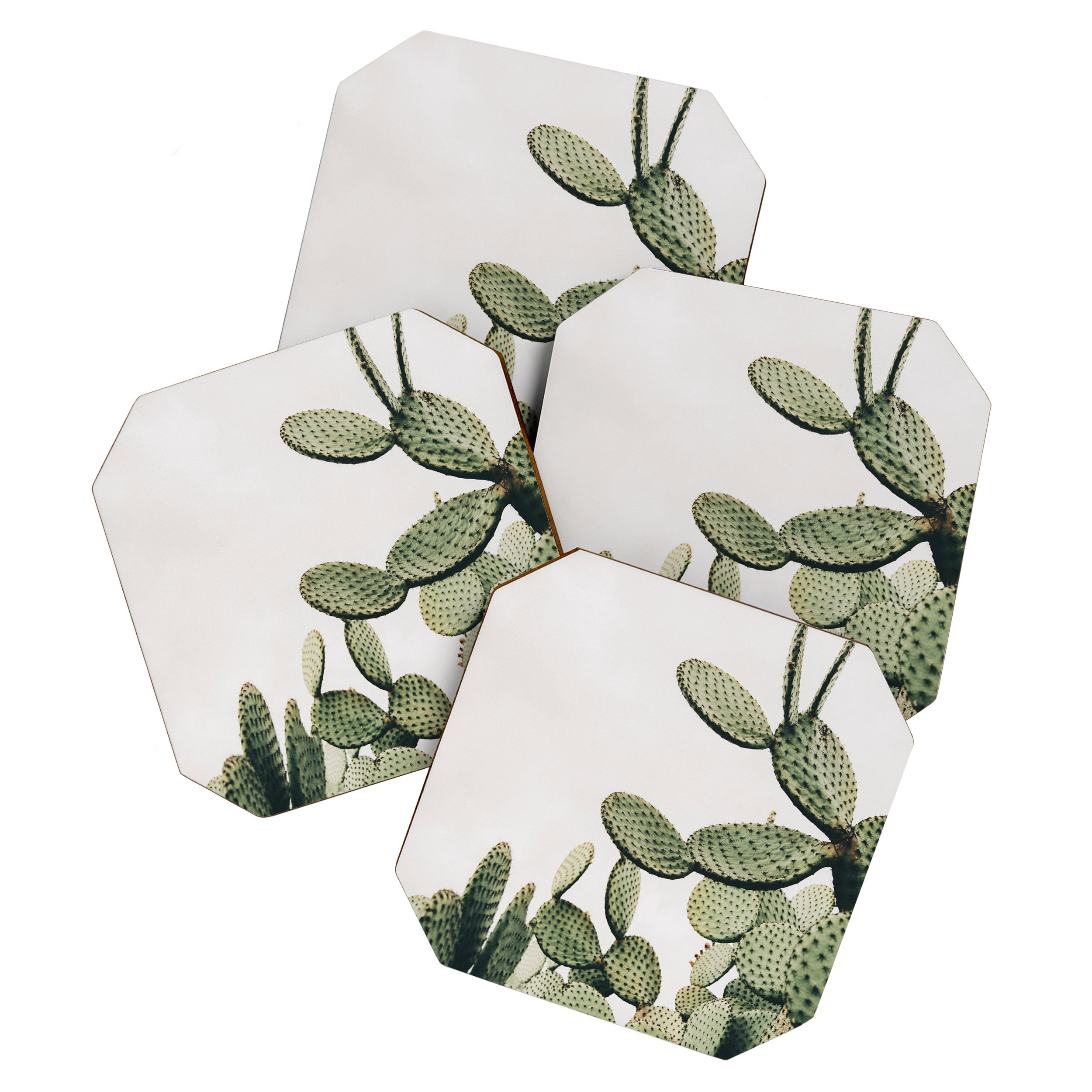 Cactus on blue sky #society6 #decor #buyart Coaster Gallery Image 1