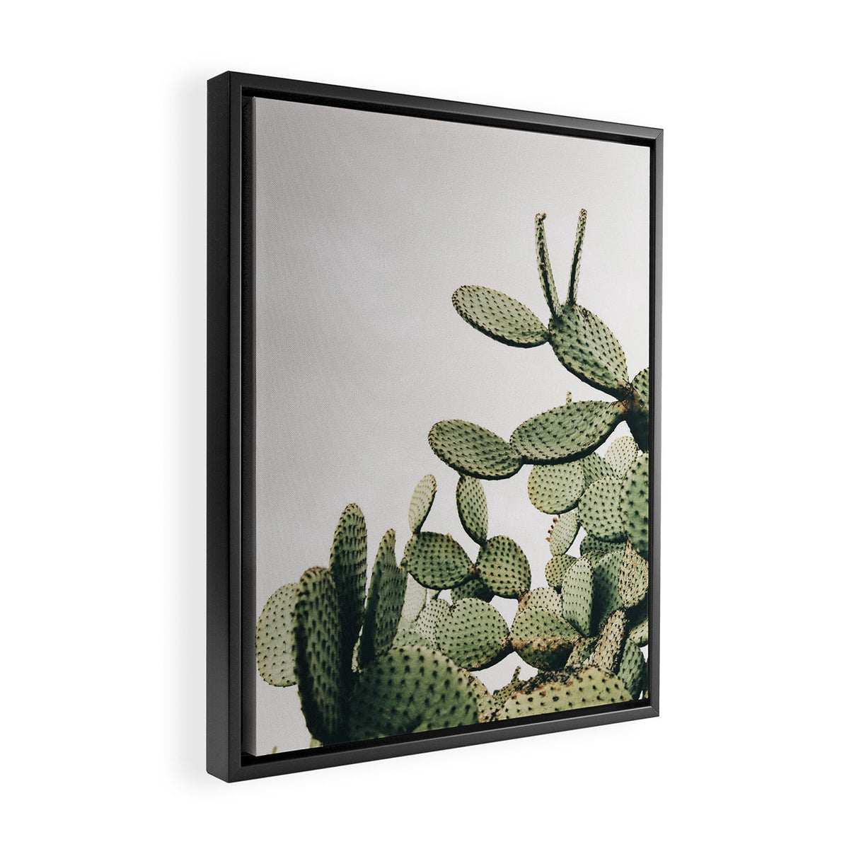 Cactus on blue sky #society6 #decor #buyart Framed Canvas Print Gallery Image 2