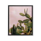 Cactus on Pink Sky Framed Canvas Print Gallery Image 6