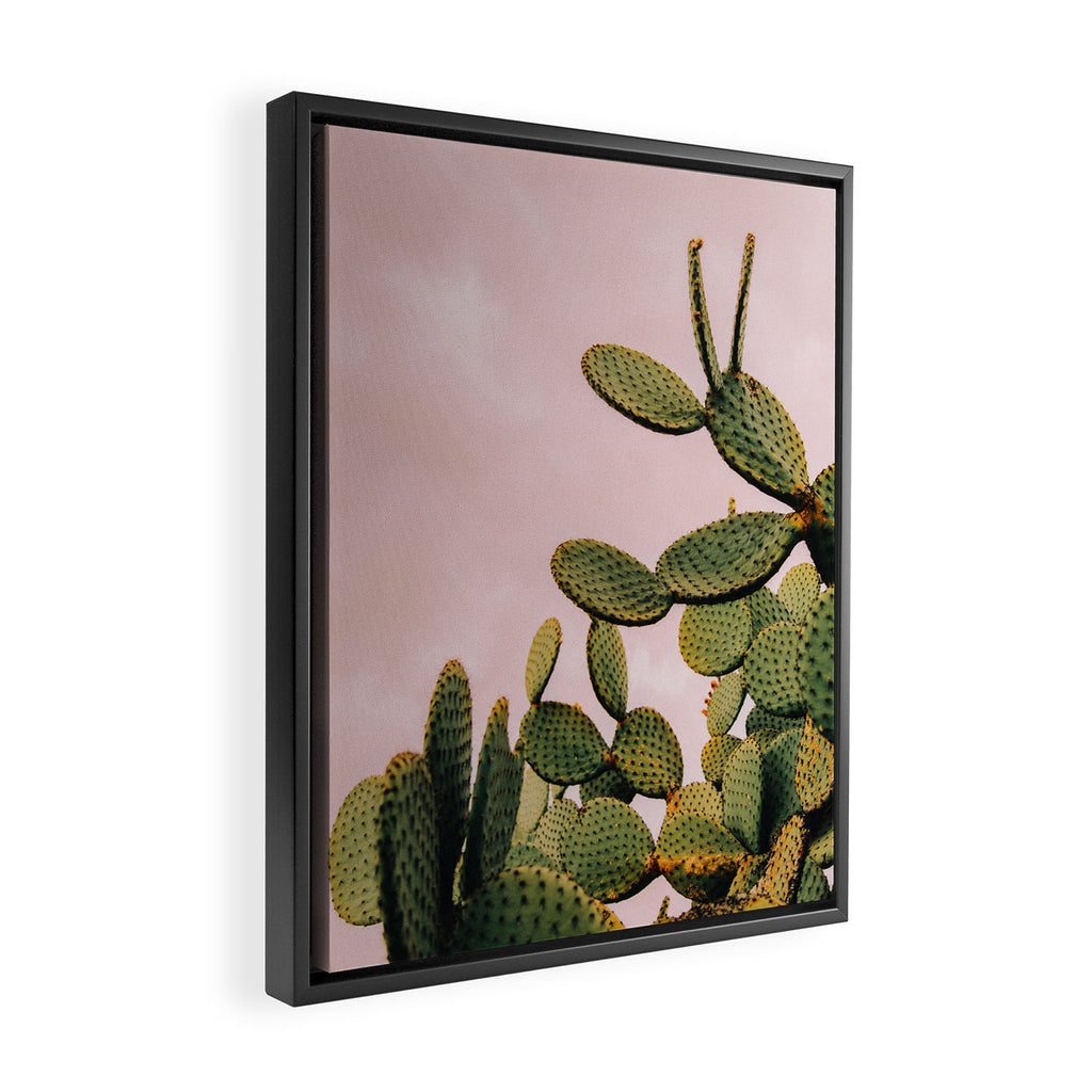 Cactus on Pink Sky Framed Canvas Print Gallery Image 2
