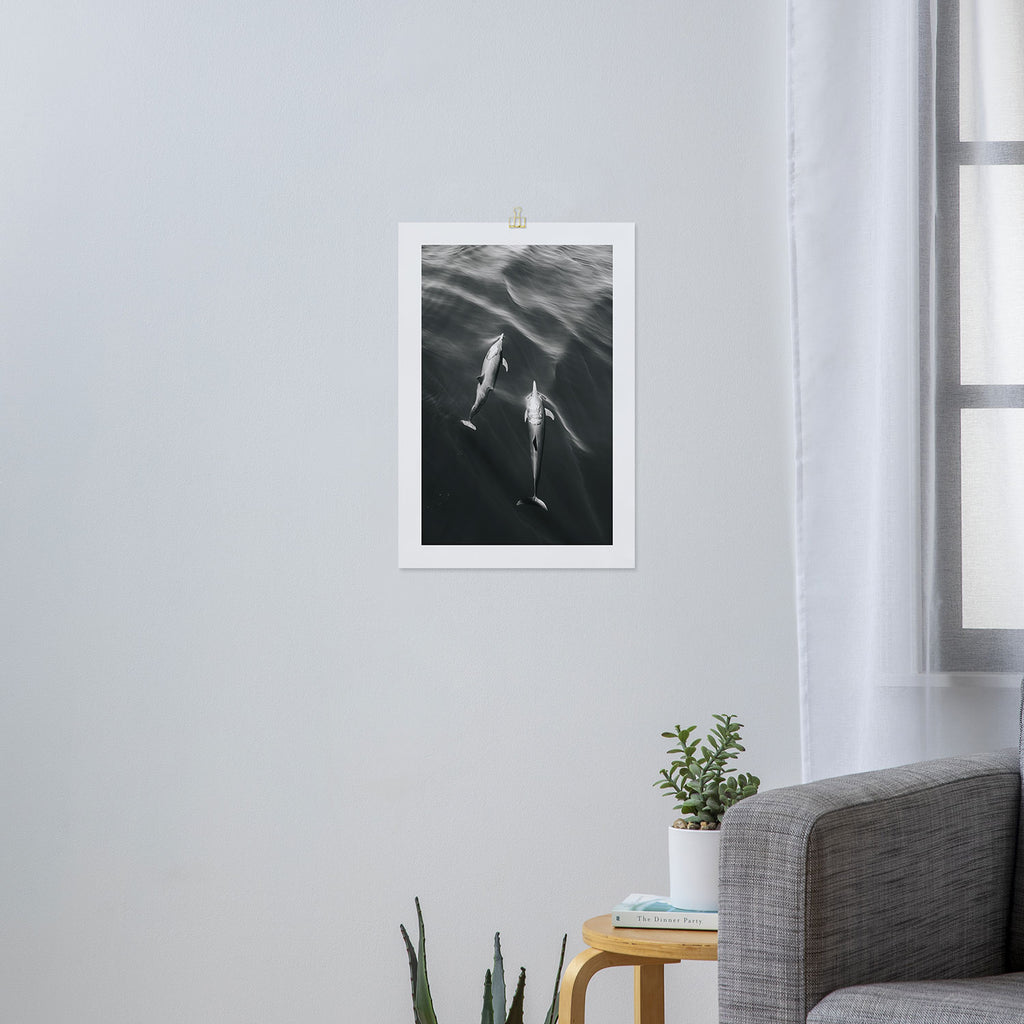 Dolphins II - BW Art Print Gallery Image 3