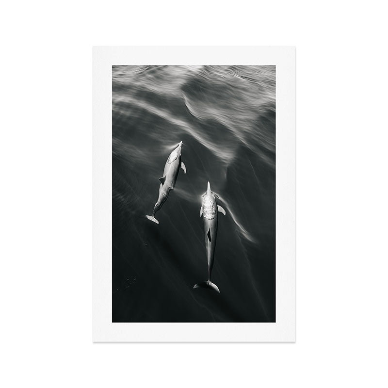 Dolphins II - BW Art Print Gallery Image 1