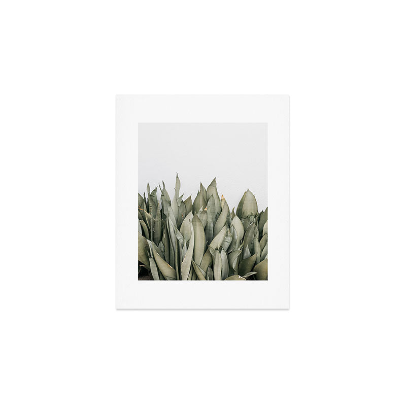Moonshine Snake Plant Art Print Gallery Image 1
