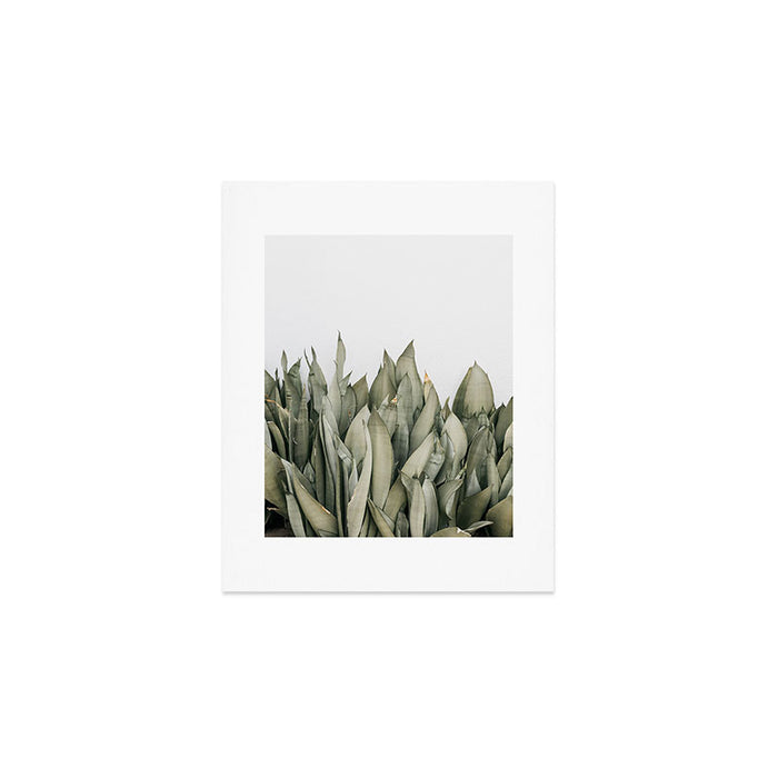 Moonshine Snake Plant Art Print Gallery Image 1