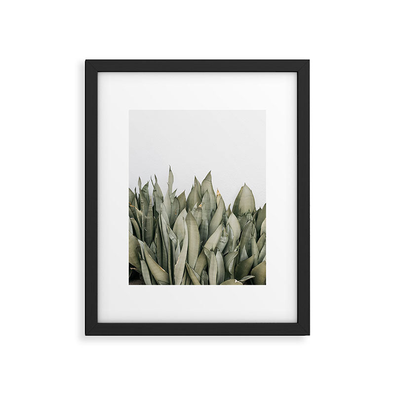 Moonshine Snake Plant Framed Art Print Gallery Image 5