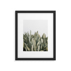 Moonshine Snake Plant Framed Art Print Gallery Image 5