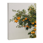 Pomegranates Canvas Print Gallery Image 6