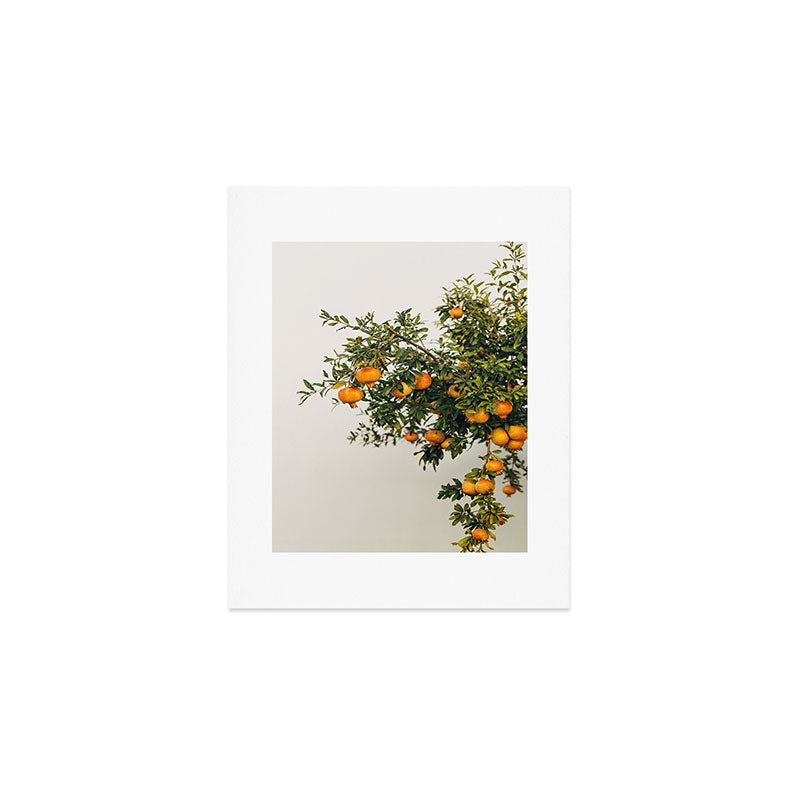 Pomegranates Art Print Gallery Image 1