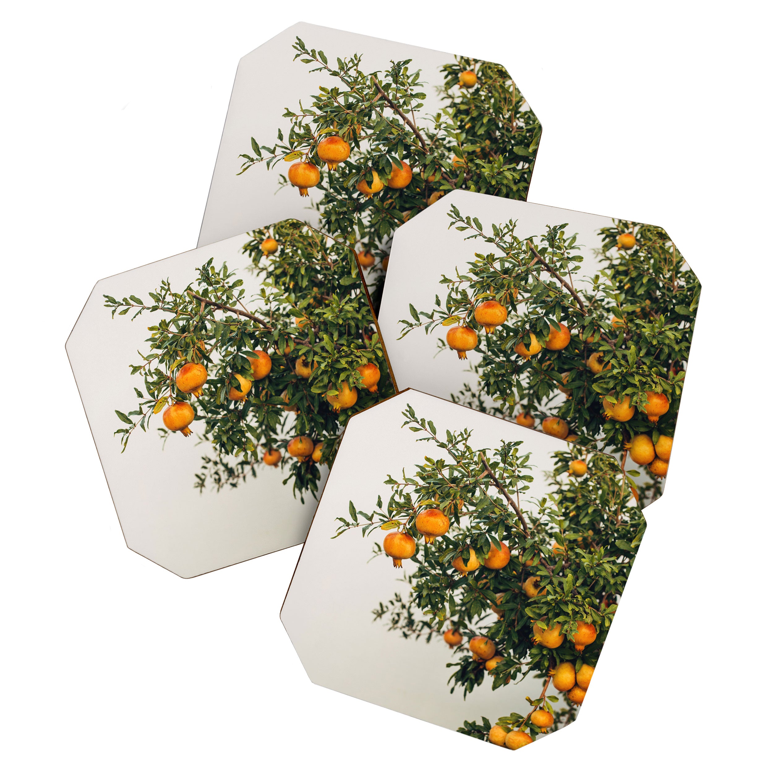 Pomegranates Coaster Gallery Image 1