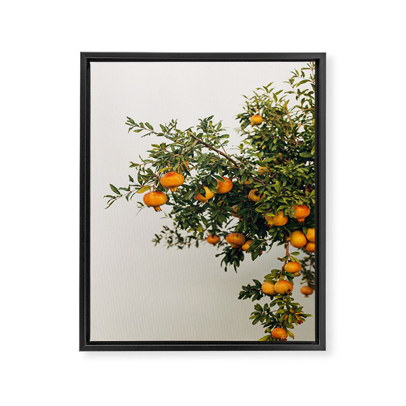 Pomegranates Framed Canvas Print Gallery Image 6