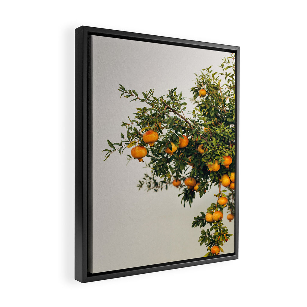 Pomegranates Framed Canvas Print Gallery Image 2