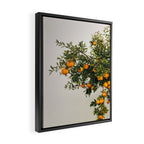 Pomegranates Framed Canvas Print Gallery Image 2