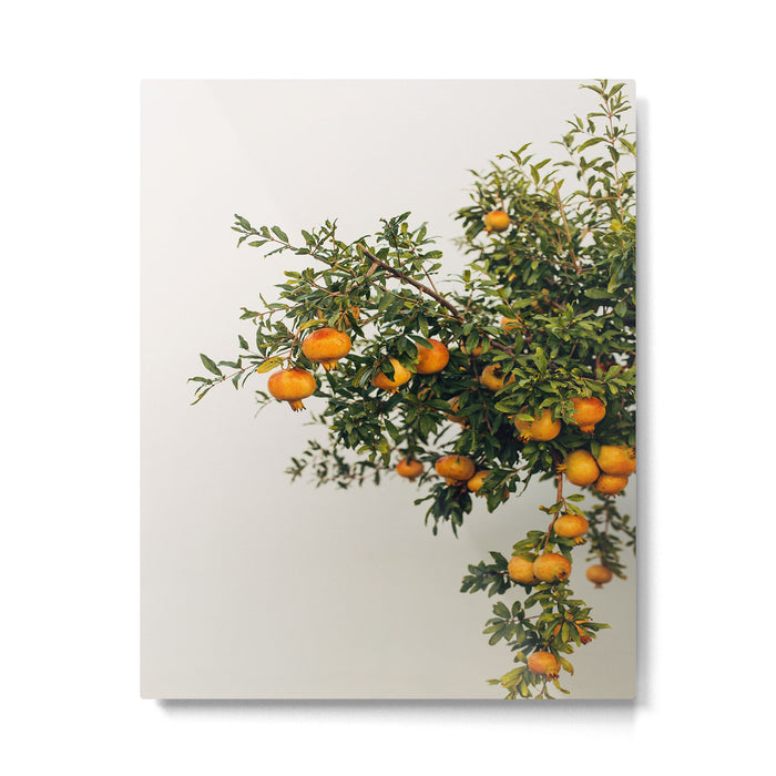 Pomegranates Metal Print Gallery Image 1
