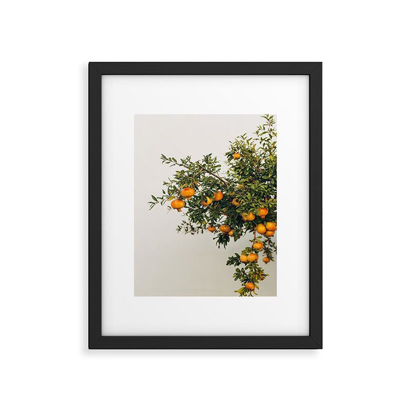 Pomegranates Framed Art Print Gallery Image 4
