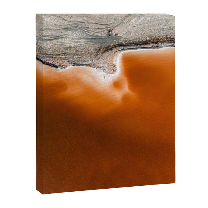 Red Pond in the Baja Desert vol. 1 Canvas Print Gallery Image 1