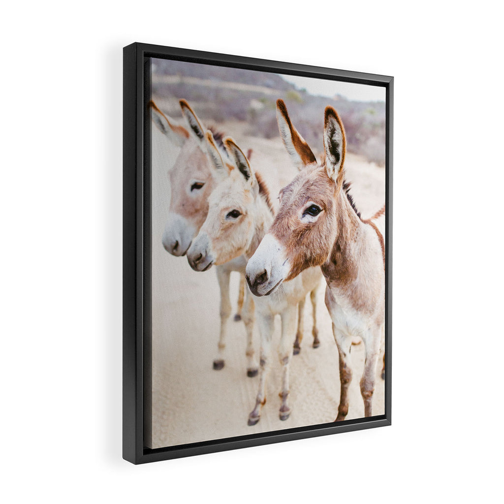 Three Donkeys in Baja, Mexico Framed Canvas Print Gallery Image 2