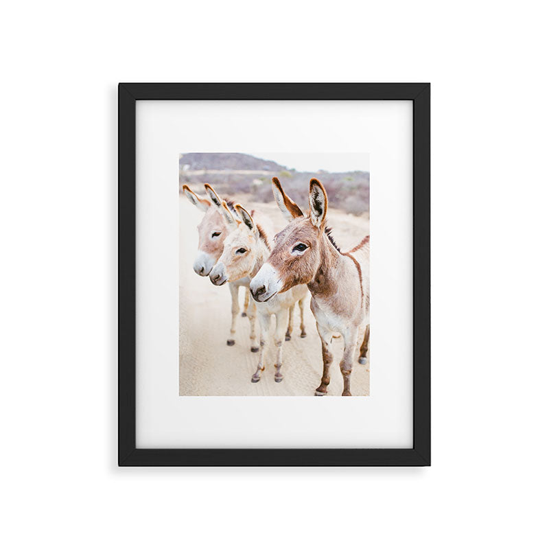 Three Donkeys in Baja, Mexico Framed Art Print Gallery Image 5