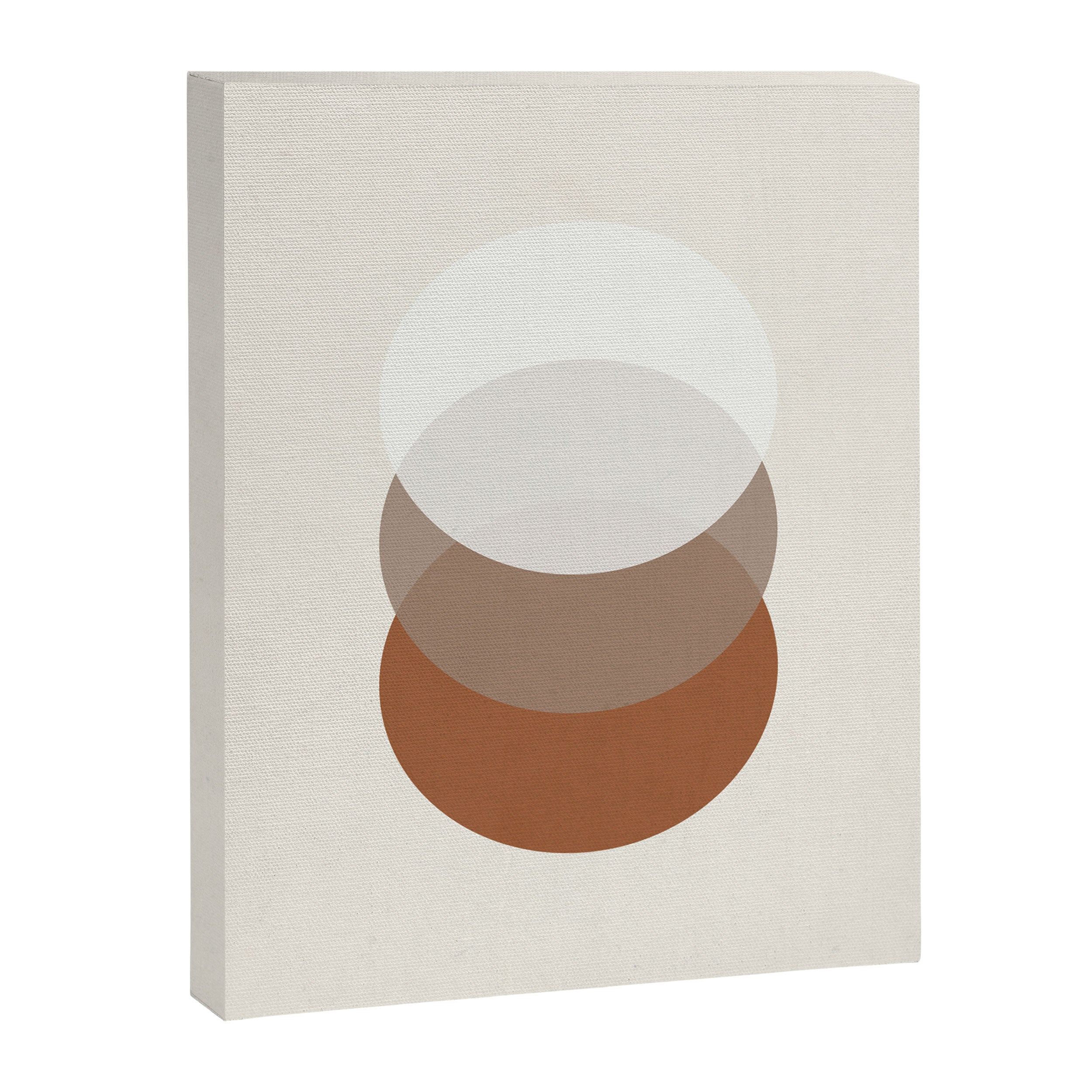 Orbit 005 Canvas Print Gallery Image 6