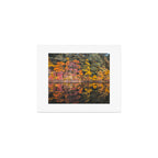 Autumn Reflections, Woodland Lake in Fall Forest Art Print Gallery Image 1