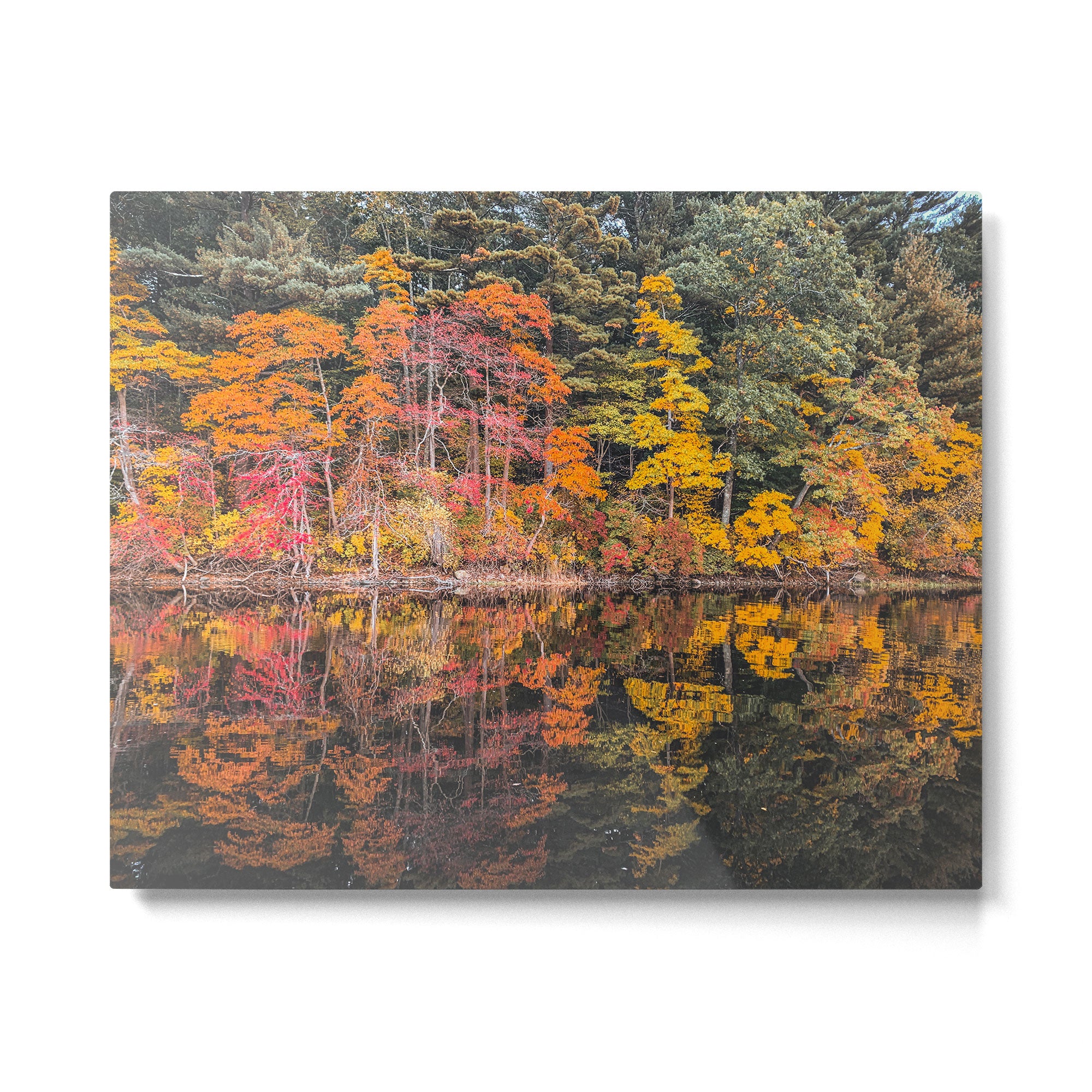 Autumn Reflections, Woodland Lake in Fall Forest Metal Print Gallery Image 4