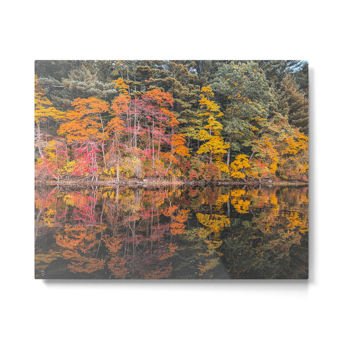 Autumn Reflections, Woodland Lake in Fall Forest Metal Print Gallery Image 1