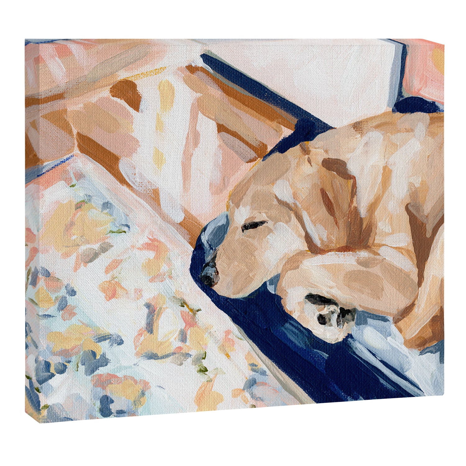 Bella Sleeping Canvas Print Gallery Image 6
