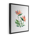 Bird of Paradise Framed Canvas Print Gallery Image 2