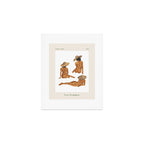 Figure Study Poster Art Print Gallery Image 1