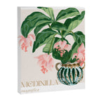 Medinilla Magnifica Canvas Print Gallery Image 6