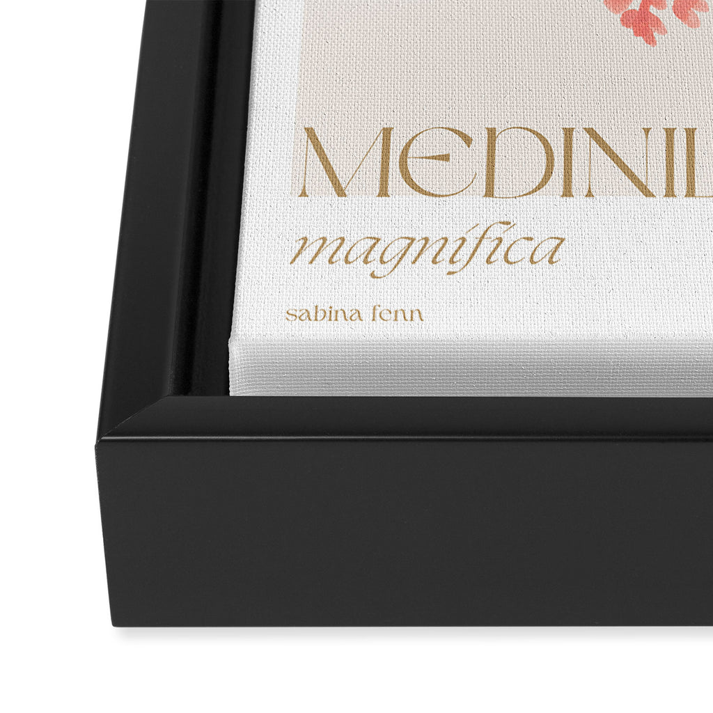 Medinilla Magnifica Framed Canvas Print Gallery Image 3