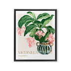 Medinilla Magnifica Framed Canvas Print Gallery Image 6