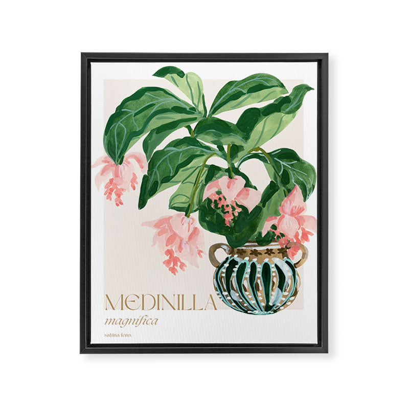 Medinilla Magnifica Framed Canvas Print Gallery Image 6