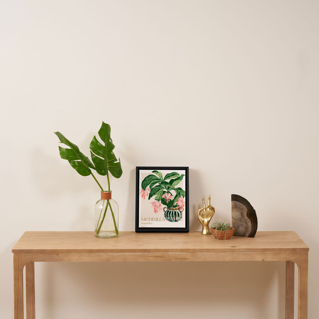 Medinilla Magnifica Framed Canvas Print Gallery Image 4