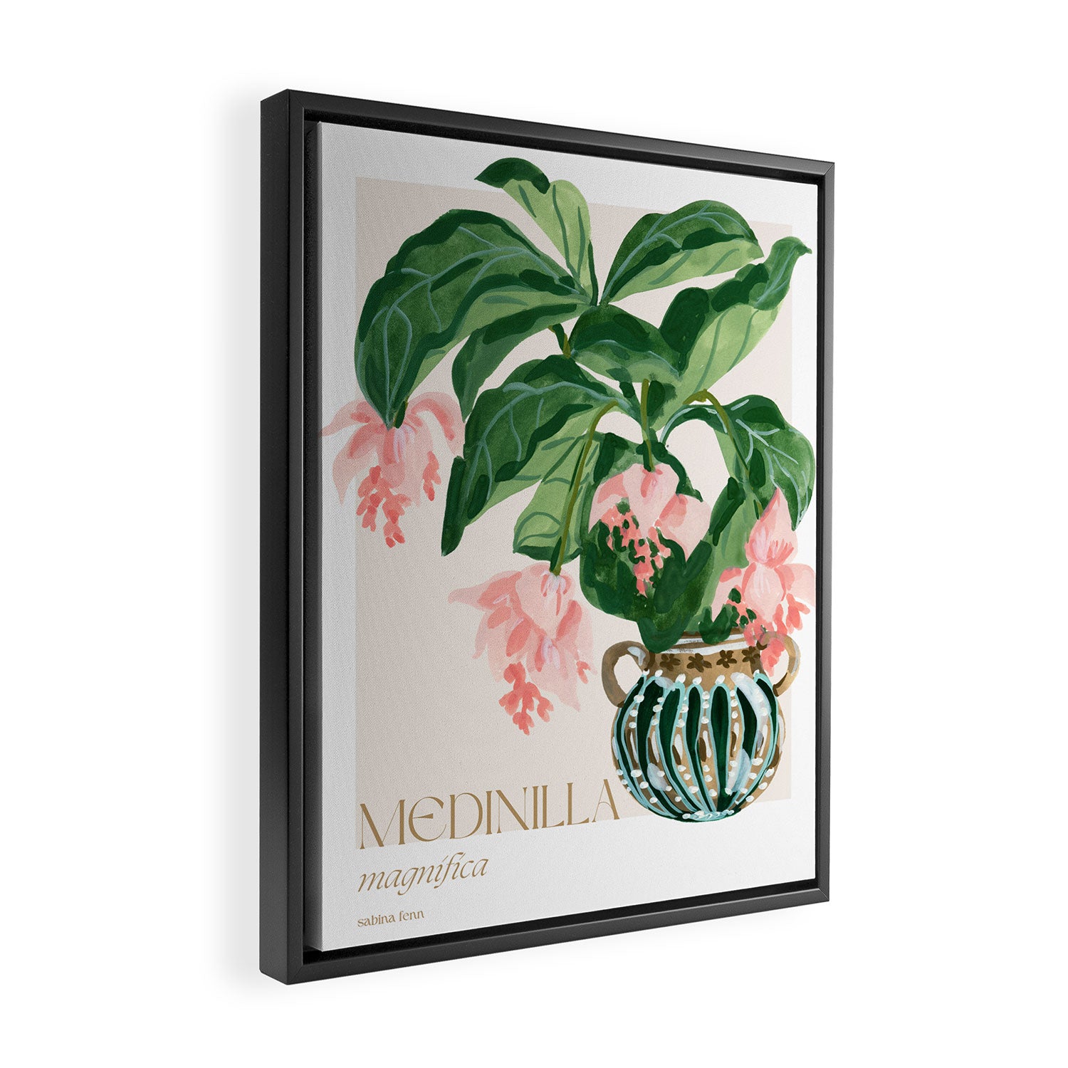Medinilla Magnifica Framed Canvas Print Gallery Image 2