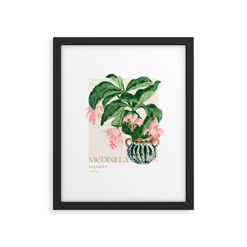 Medinilla Magnifica Framed Art Print Gallery Image 5