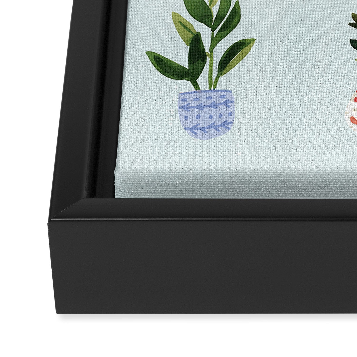 Plants Framed Canvas Print Gallery Image 3